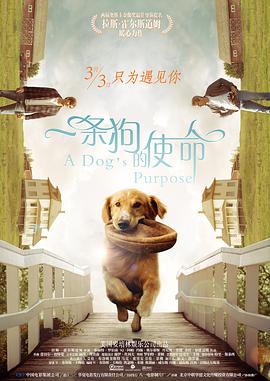 天天干天天干天天干天天干